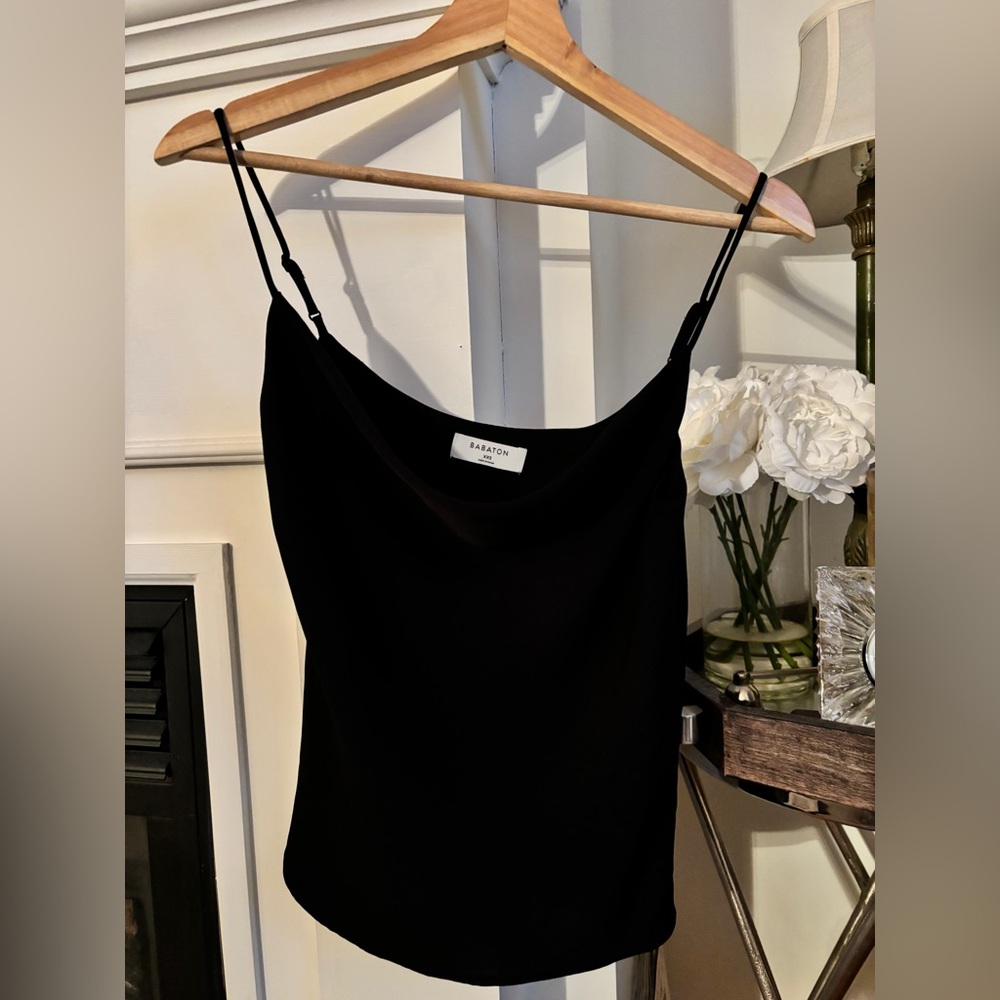 Babaton Silk top
